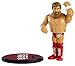 WWE Daniel Bryan Retro App Action Figure