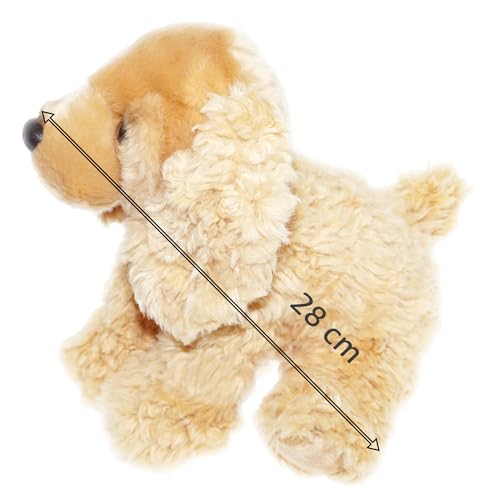 tachi Plüschtier Hund, Kuscheltier Hündchen Cocker Spaniel beige, Stofftier sitzend 28 cm