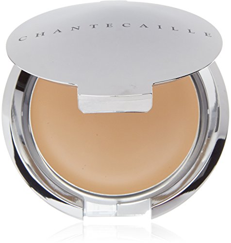 Chantecaille Real Skin Translucent Makeup, Warm, 0.38 Ounce
