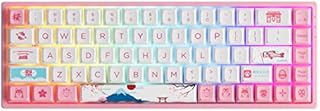 Akko 3068B Plus Tokyo RGB Mechanical Gaming Keyboard, Multi Modes (BT5.0/2.4Ghz/Type C) Wireless Keyboard with 5 Pin Hot Swap, PBT Dye-Sub OSA Keycaps, Programmable Macros (Linear Switch)