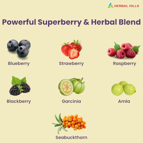 Image of Herbal Hills Mix Berry Juice (500 Ml Pack of 2)