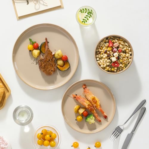 vancasso PLAYA Plates and Bowls Sets,12 Pieces Brown Dinnerware Sets for Kitchen, Reactive Glaze Dishes Set for 4, Dishwasher and Microwave Safe