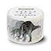 Okina MD4052 Dinosaur Spinosaurus Masking Tape, Width 1.2 inches (30 mm) x 23.4 ft (7 m)