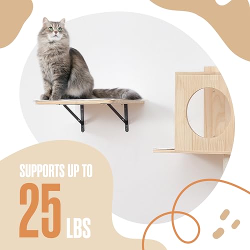 Árbol para gatos montado en pared 35 x 25 cm miniatura 3