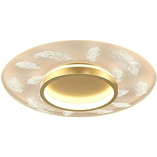 Plafonnier LED Rond Dimmable Télécommande Abat-jour Acrylique Chambre Salon HAZARA