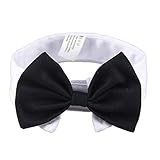 The hook and loop closure and magic tape design ensures that you can adjust the length of the bow tie for your cute dog and cat.