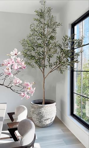 Phimos Olive Tree, Green, 208.3 cm