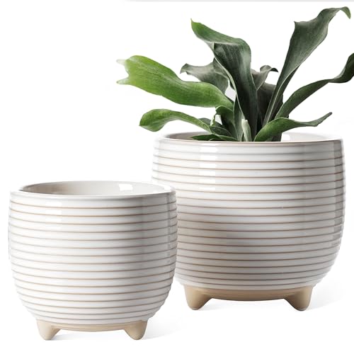LE TAUCI Reactive Glaze Footed