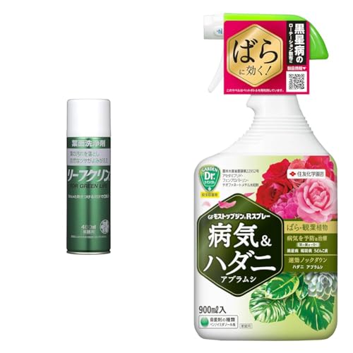 yZbgzZFw| tʐ [tNƖp 480ml+EEۍ GFXgbvWRXv[ 900ml