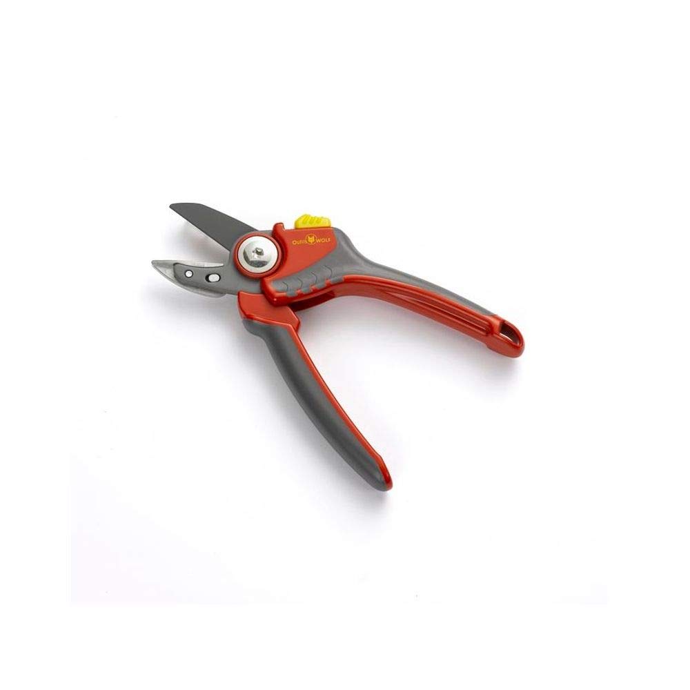 Forbici Universali Outils Wolf Rax – Lame In Acciaio Inox, Regolazione Rapida, Ideali Per Giardinaggio E Fai Da Te, Per Destri E Mancini - 2