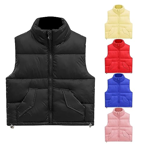 Puffer Vest for Boys Girls Winter Warm Zip Up Sleeveless Mock Neck Down Jacket Kids Cotton Lightweight Down Outerwear