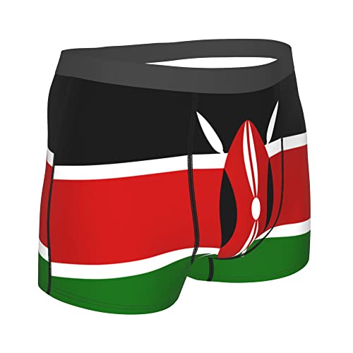 flag of Cape Verde Mens Boxer Briefs Underwear Breathable Stretch Boxer Trunk with Pouch for Men, Youth3