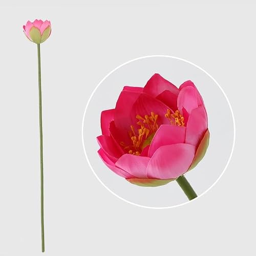 JUAKSQZYI Fake Flowers Simulation Lotus Lea Lifelike Water Lily Buds Ornaments Silk Artificial Flower Lotus Seedpod Household(Color11)