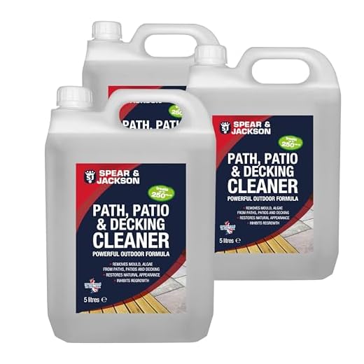 Spear and Jackson Patio Cleaner