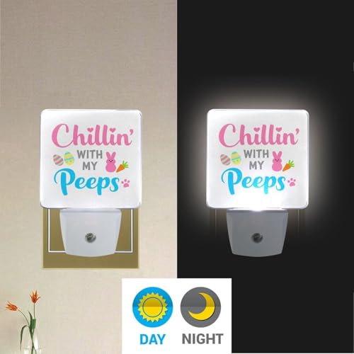 Lámpara de noche LED sensor luz crepuscular Aslsiy miniatura 5