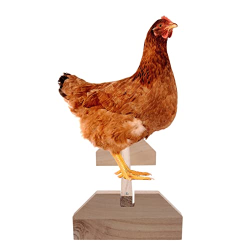 Image of POPETPOP Natural Wood Chicken Perch Stand 15.7 Inch Indoor Roosting Platform Safe Rooster and Chick Play Accessory for Pet Birds