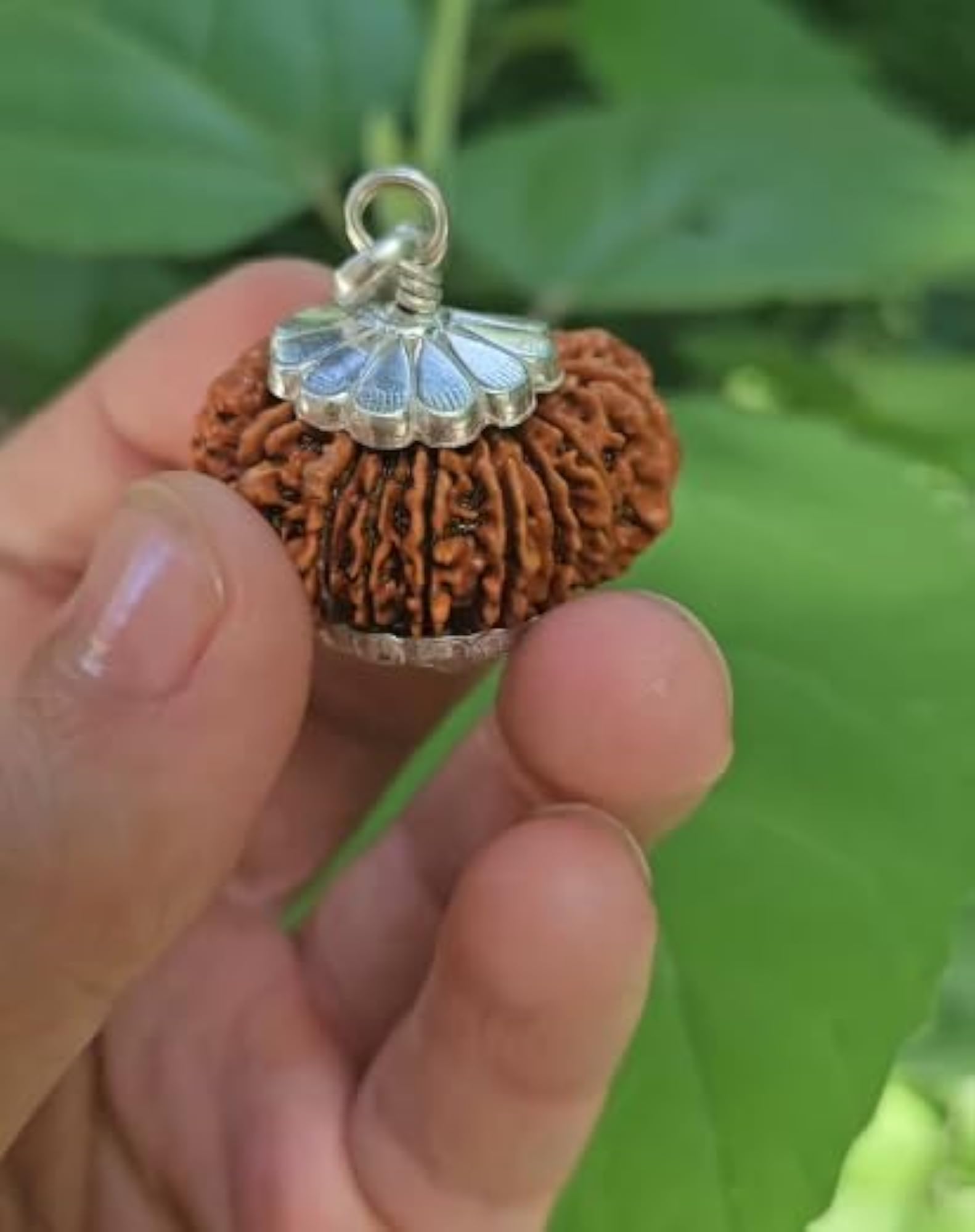 16 Mukhi Rudraksha Original Certified with Silver Capping