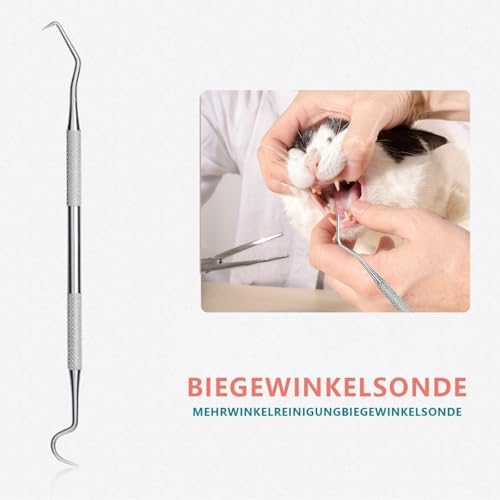 LAIYOHO 3-teiliges Haustier-Zahnsteinentferner Set: Doppelköpfiger Zahnstein-Entferner & Zahnstocher aus Edelstahl für Hunde & Katzen