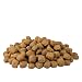 Veggie Dry - vegetarisches Hundefutter - ideal für alle Fleisch Allergiker 12 kg - Schecker Trockenfutter für Hunde