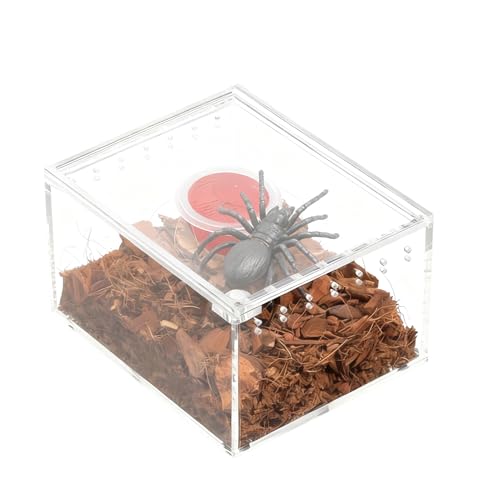 �J�^�c���� �p,�����Q�b�R�[�ɐB�^���N - �A�N����঒��ރP�[�X,�ɐB �a�t�� �ώ@ �p ঒��� �J�^�c���� �w�r �J�� �J�G�� ������ ���h�J��