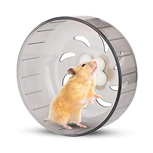 Hamster Loopwiel, 13cm Hamsterwiel Klein Huisdier Hamster Oefenwiel Stil Plastic Hardloopspeelgoed voor Kleine Dieren Hamster Gerbil Cavia