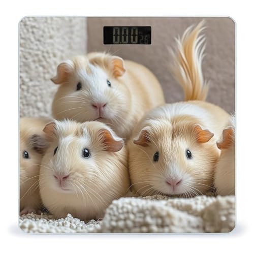 Báscula digital para baño en vidrio templado compacta miniatura 1