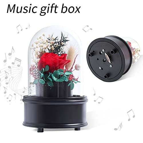 Preserved Rose Music Box for Women, for her, Forever Flowers Red Rose in Glass Dome, Eternal Glass Rose, Music Box Gifts for Christmas, Valentine's Day