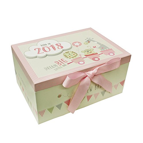 born in 2018 keepsake box