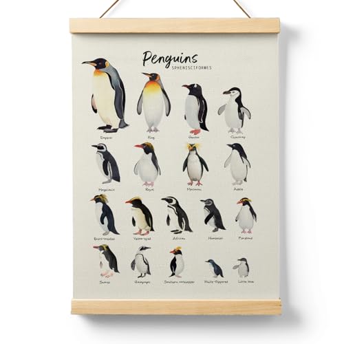 Ryeolo Penguin Species Wall Art With Wooden Poster Hanger, Penguin Educational Chart Poster Decorations for Nursery Toddler Bedroom Classroom Playroom, 12.5x17 Inches