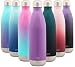 Simple Modern Stainless Steel Vacuum Insulated Double-Walled Wave Bottle, 25oz - Amethyst Purple - Shimmering Collection