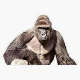 LAD Studio Harambe Sticker Vinyl Bumper Sticker Decal Waterproof 5'