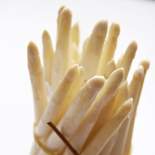 C^AY zCgAXpKX@obT[m@PjC^A@IGP@①j