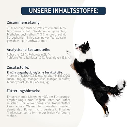 PetFokus Agility Complete | für gelenkempfindliche Hunde - natürliche Nahrungsergänzung - 11 wertvolle Inhaltsstoffe inkl. Grünlippmuschel, MSM, Teufelskralle - Pulver - in Deutschland produziert
