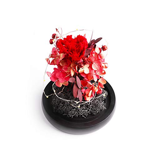 Preserved Flowers - Cooak Handmade Preserved Carnation, Upscale Flowers With Led Lights Red Preserved Flowers In Glass Dome Gift For Her Thanksgiving Christmas Valentine's Day Birthday Mother's Day #TOP3