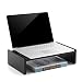 TAVR Computer Monitor Stand Riser Desk Storage Organizer Desktop Stand for Printer, Laptop, Desk with Phone Holder 16.7 x 9.4 inch CM1001