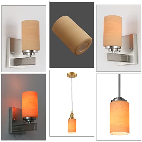 Eumyviv Frosted Glass Lamp Shade, 2Pcs Cylinder Lampshade Cover Replacement With 1-5/8-Inch Opening For Chandelier Pendant Lighting Fixture A00079 #TOP2