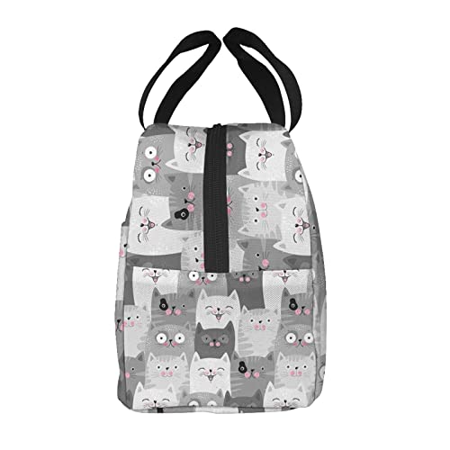 Aiojool Cute Grey Cats Lunch Bag Insulated Lunch Box Reusable Cooler Thermal Meal Tote For Women Men #TOP2
