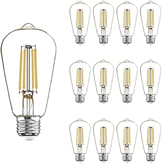 12 Pack LED Edison Bulbs 40W Equivalent,4 Watt LED Filament Bulb,4000K Daylight White ST19 Light Bulb,450LM E26 Vintage LED Bulbs for Ceiling Light Fixtures, Non-dim