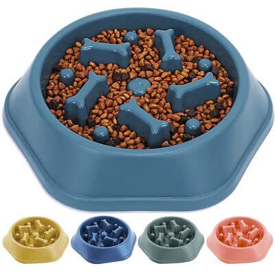 Dhak-tu Bone Shaped Slow Feeder Polypropylene Pet Bowl (1000 ml Blue) (B0BWKCMR2Y) Amazon Price History, Amazon Price Tracker