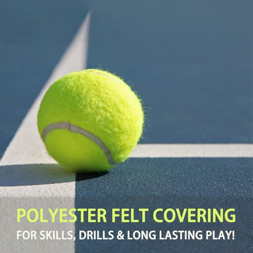 Tennis Ball and Dog Training Play
