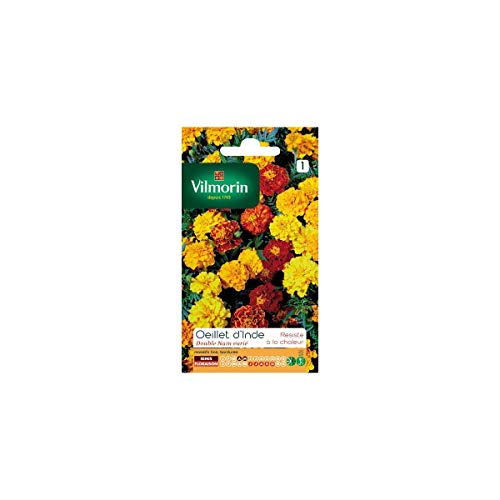 Vilmorin - Sachet graines Oeillet d'inde double nain varié