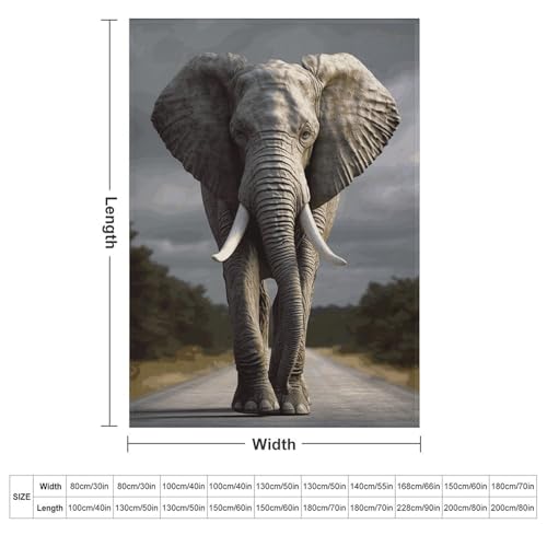 Couverture éléphant plaid doux en flanelle, le cadeau de lit idéal - 3