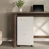 Lavish Home 2 Drawer File...