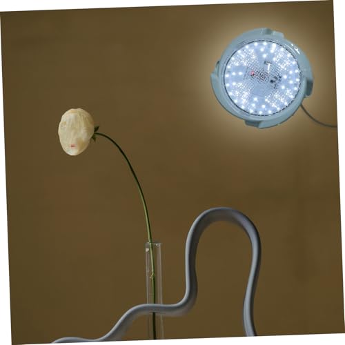 Lampe murale solaire avec télécommande et plafonnier étanche NUOBESTY