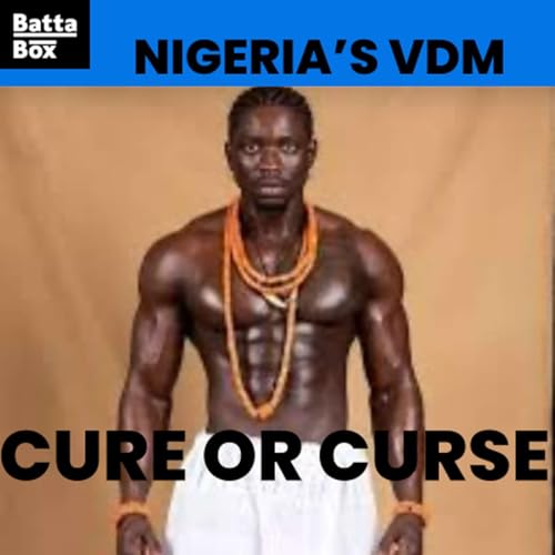 Digital Vigilantes: The VDM Phenomenon