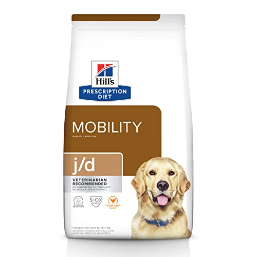 Best Dog Food for Cavalier King Charles Spaniels in 2020 (Vet