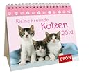  Kleine Freunde - Katzen 2014: Mini-Kalender