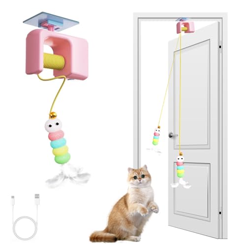 Interactive Automatic Cat Toy for Indoor Cats - Electric Door