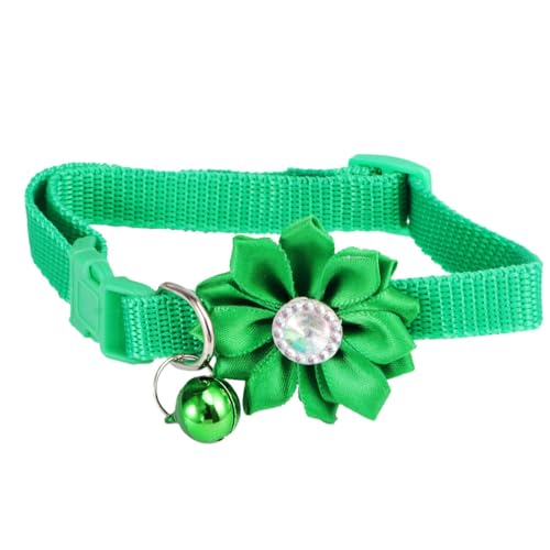 STOBOK ybgpԌ^lbN`F[ ߉\ ȗt ł킢ΐF̔L t@bVANZT[