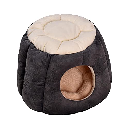 Camas Gatos Cerradas Marca DAMENGOTA